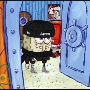 Meet your Posher, Justin